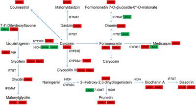 Corrigendum: Mepiquat chloride inhibits soybean growth but improves drought resistance